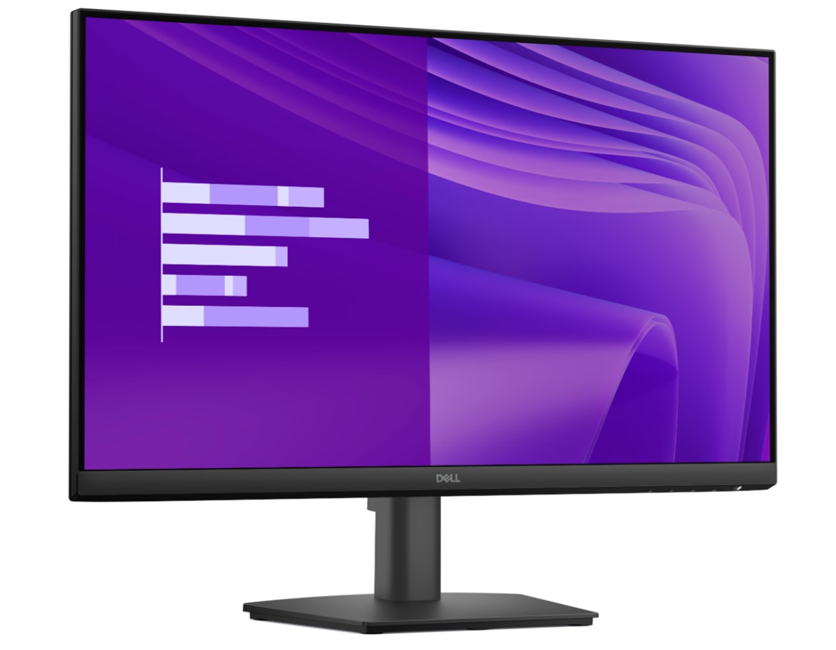 | DELL 24 E2425HM PRO MONITOR 5MS 100Hz 1920x1080 VESA 1xVGA 1xDP 1xHDMI