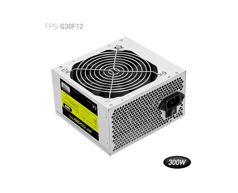 Foem 300W FPS-G30F12 Güç Kaynağı