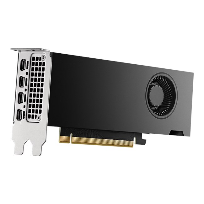 Pny NVIDIA RTX 2000 ADA 16GB GD6 4mDp Çeviricisiz [VCNRTX200 görsel 3